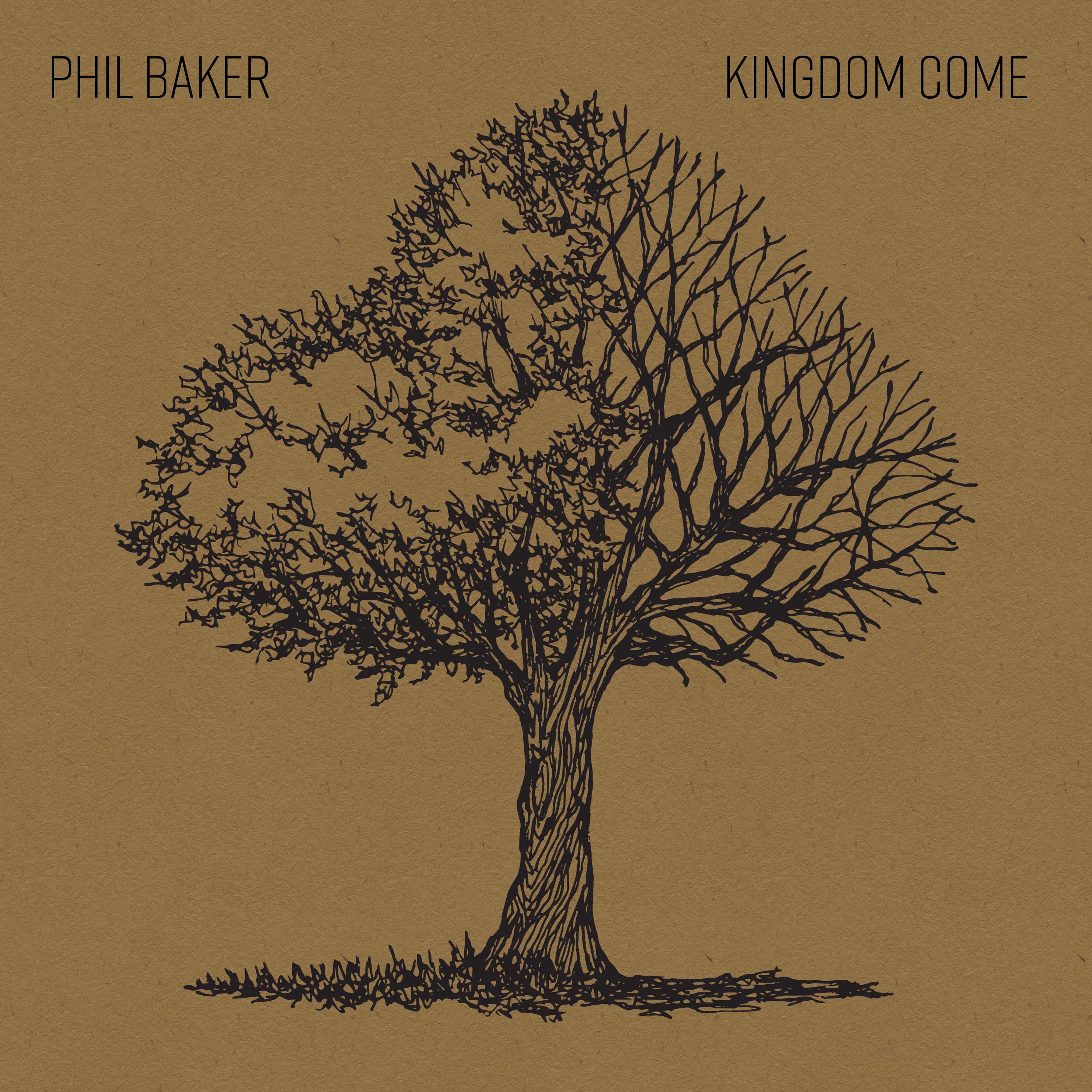 Kingdom Come Cover Art